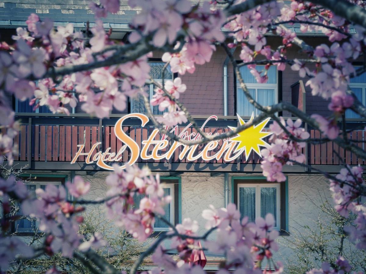 Wochner'S Hotel-Sternen Am Schluchsee Hochschwarzwald Екстериор снимка